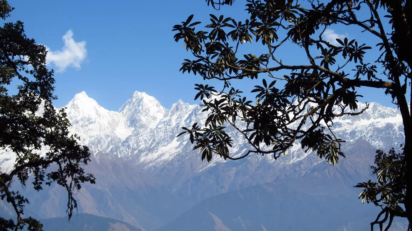 Photo of Munsyari By Ayan