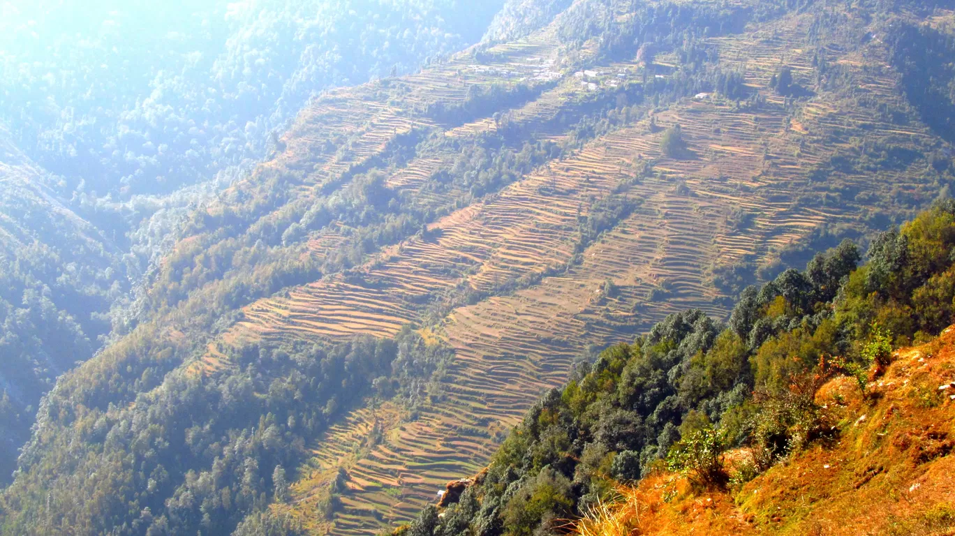 Photo of Munsyari By Ayan