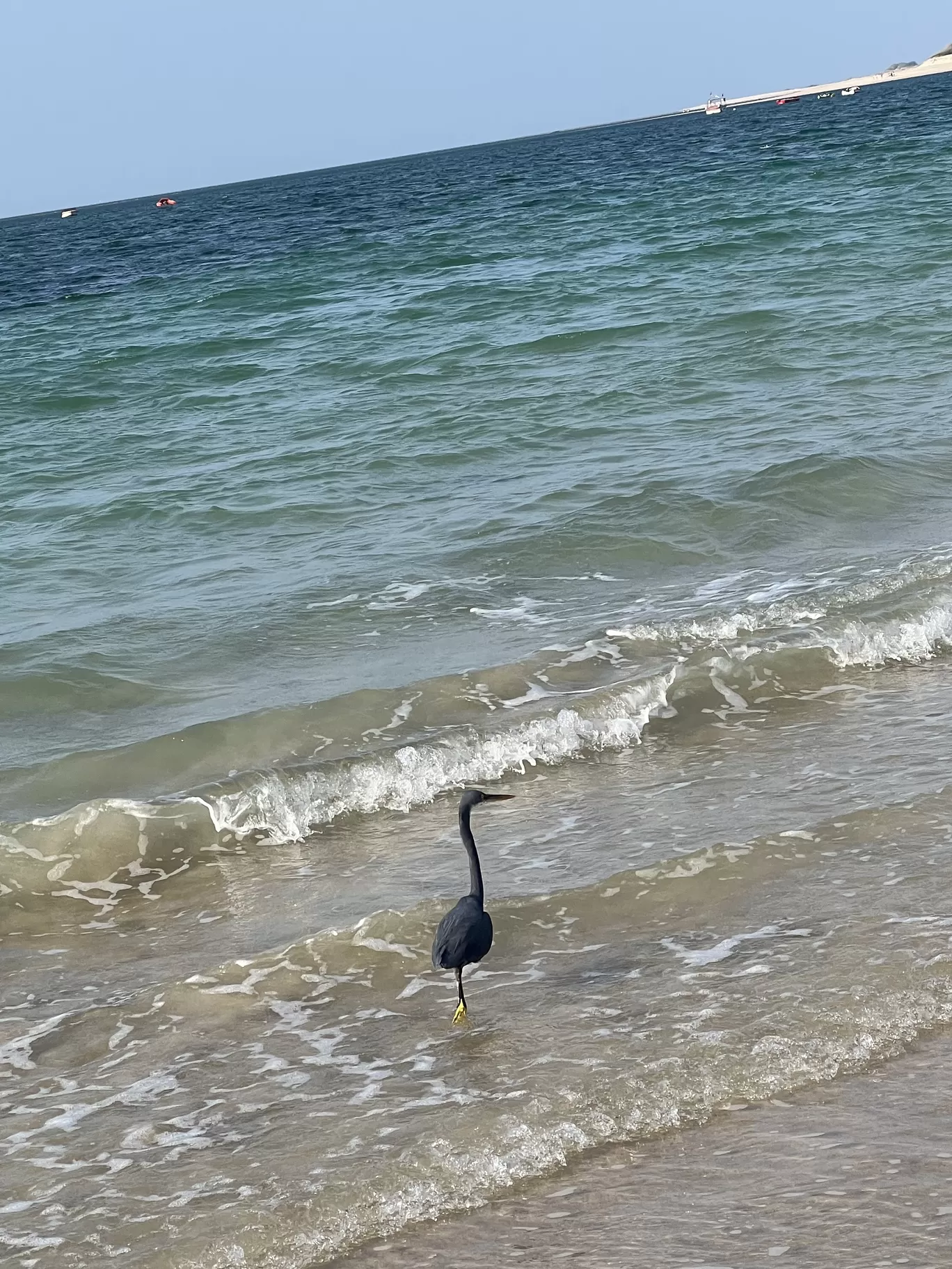 Photo of Shivrajpur Beach By Harnish Vora
