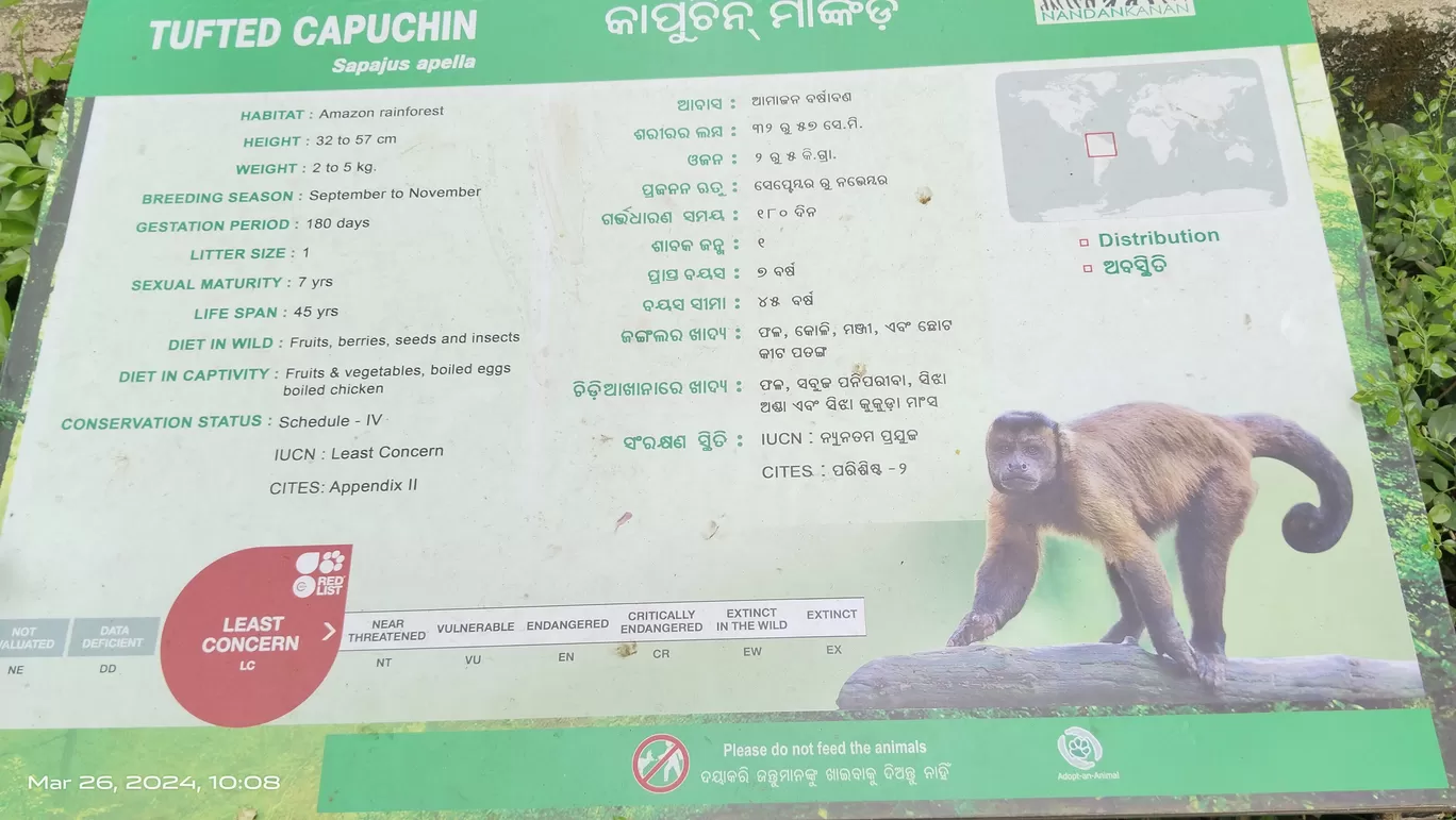 Photo of Sebakapur By Abhimanyu Ghosh