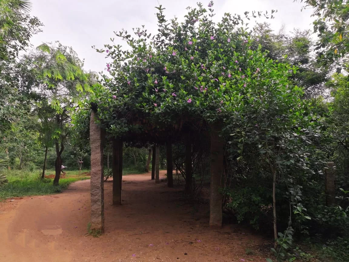 Photo of Auroville By wandererSoul