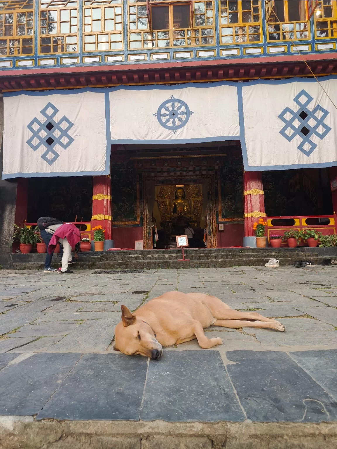 Photo of McLeod Ganj By Deeksha Sundriyal