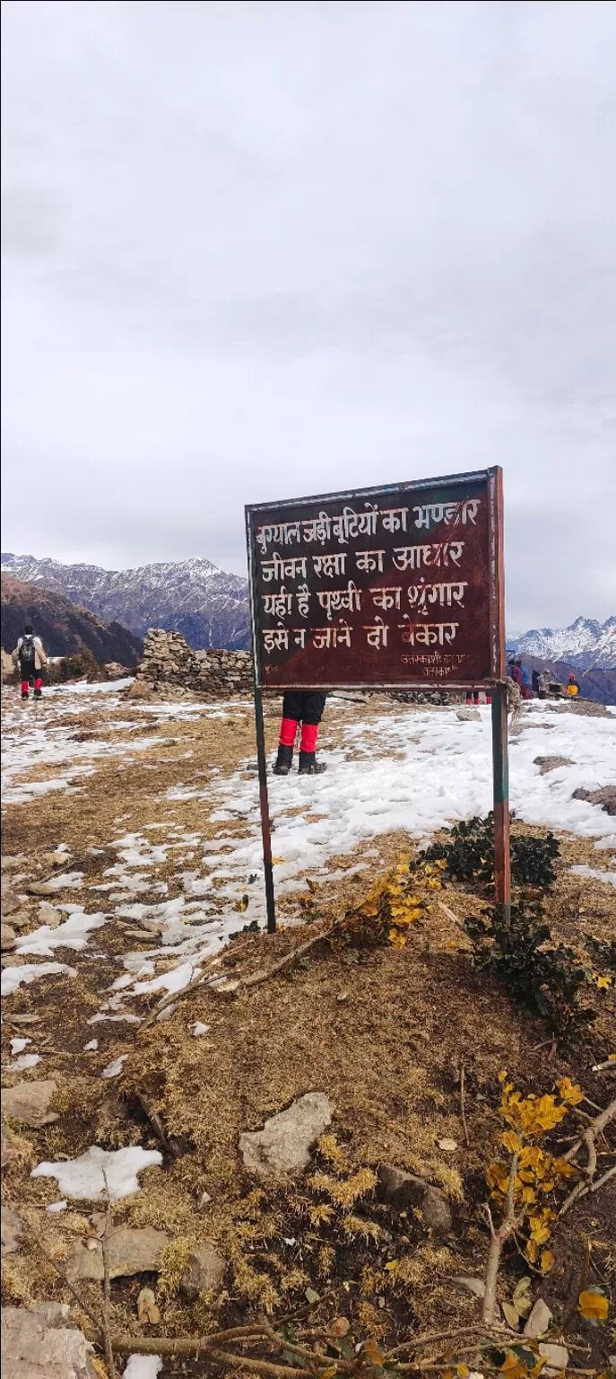 Photo of Dayara Bugyal Trek By Deeksha Sundriyal