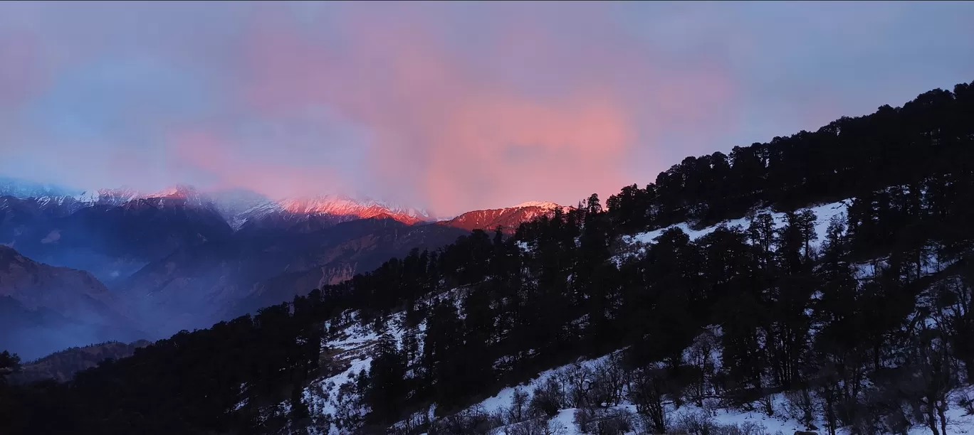 Photo of Dayara Bugyal Trek By Deeksha Sundriyal