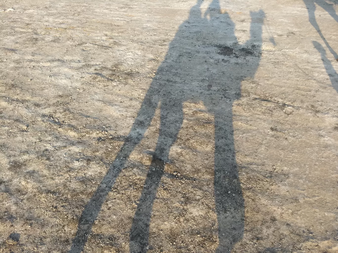 Photo of Rann Utsav By pd_live2travel