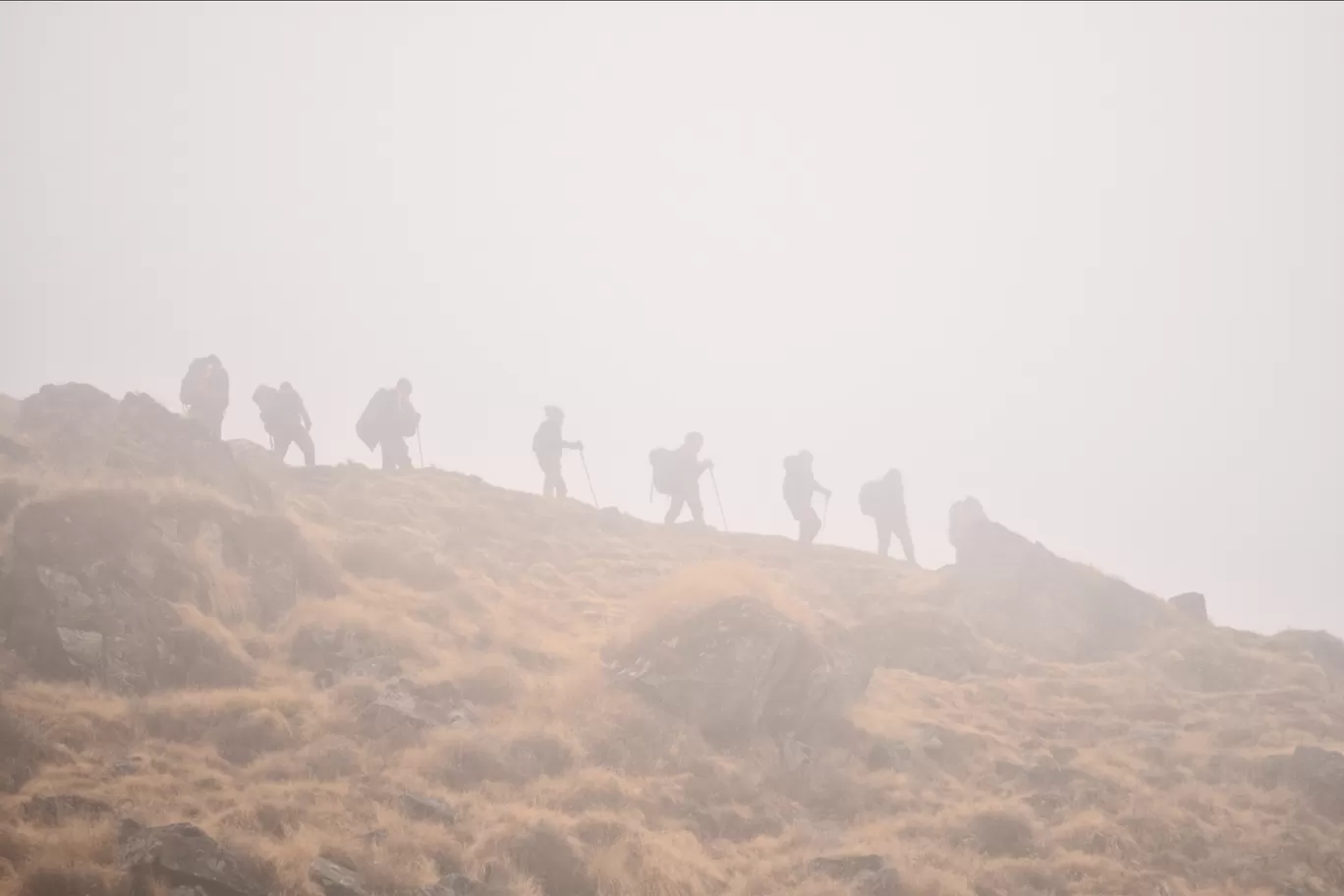 Photo of Brahmatal Trekking By Arnav Das