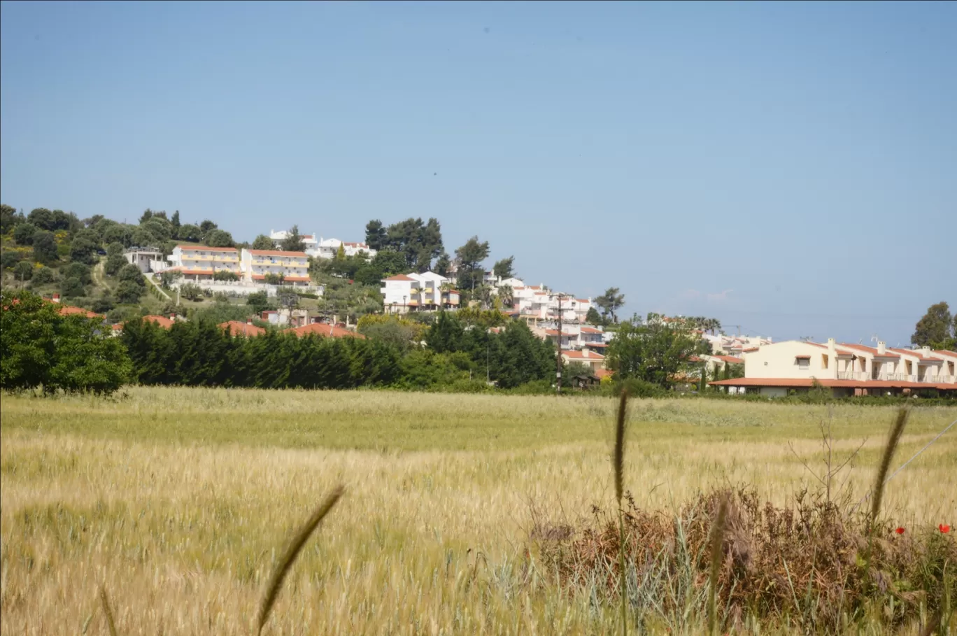 Photo of Halkidiki By Arnav Das