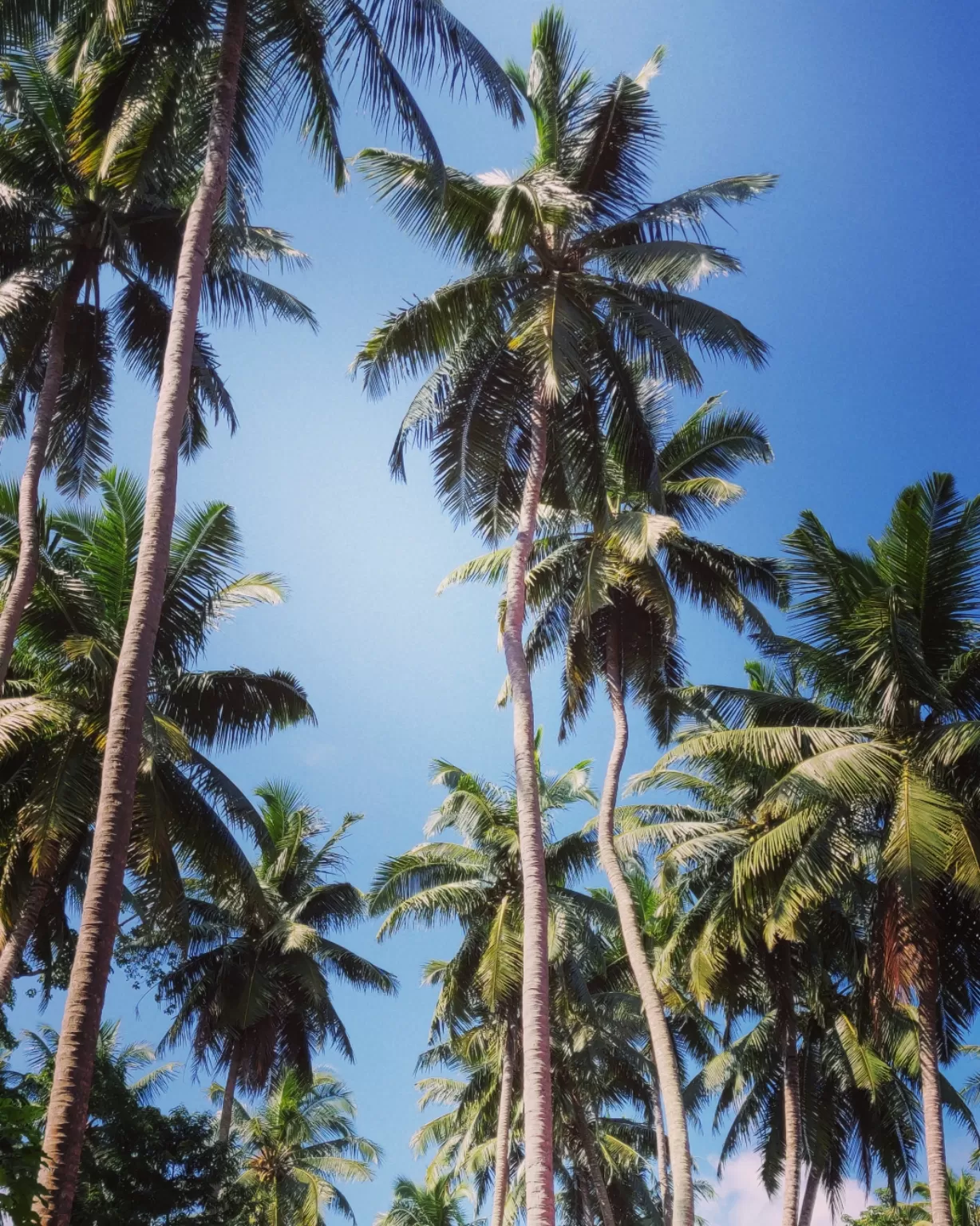 Photo of Andaman and Nicobar Islands By Anuja Bhanot