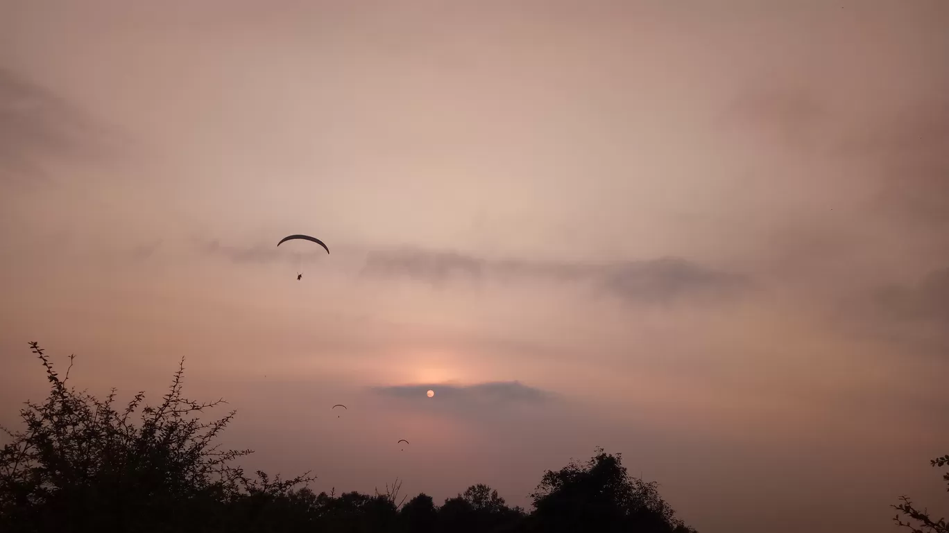 Photo of Bir Billing Paragliding By Nisha Rawat
