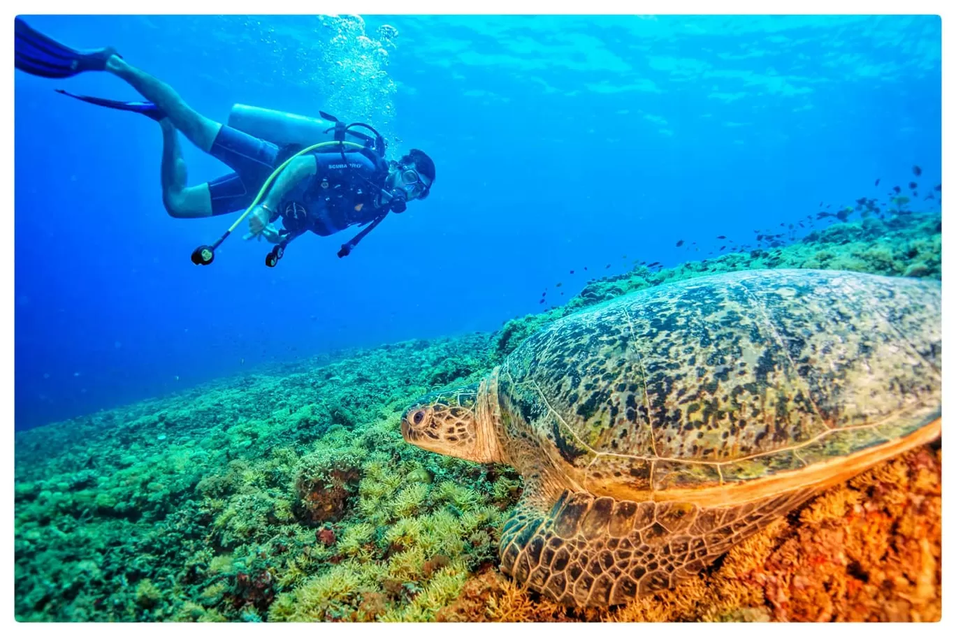 Photo of Gili Trawangan By Geet Narang