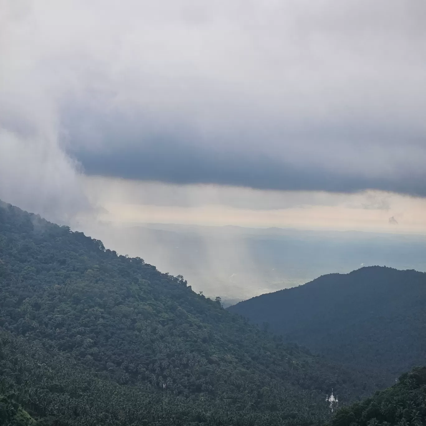 Photo of MUTHANGA WILD RESORT By anas arinkalode