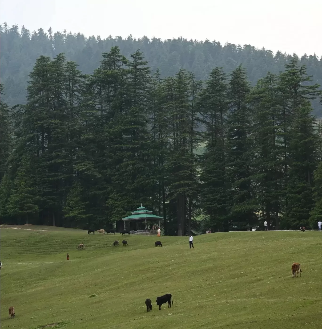 Photo of Shangarh valley By Ashu gupta 
