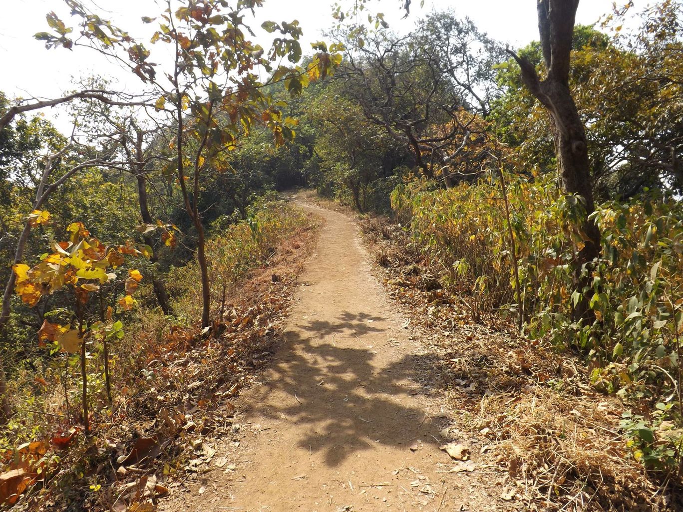 Photo of Karnala Fort Trek By Kaushik Chakraborty
