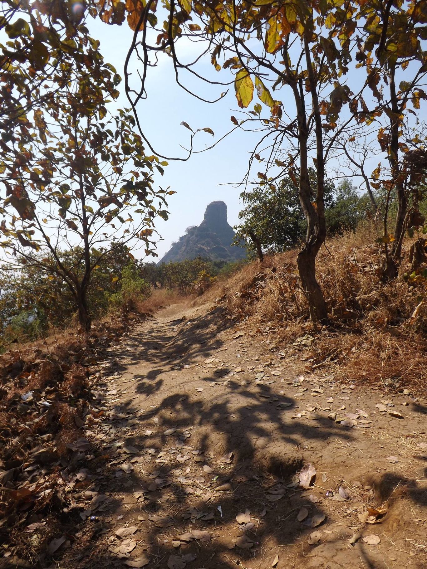 Photo of Karnala Fort Trek By Kaushik Chakraborty