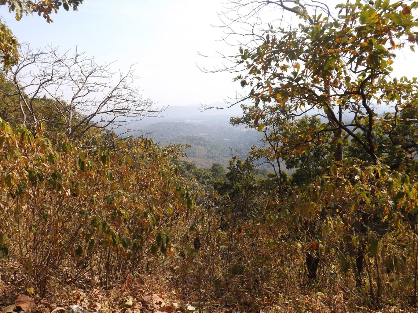 Photo of Karnala Fort Trek By Kaushik Chakraborty