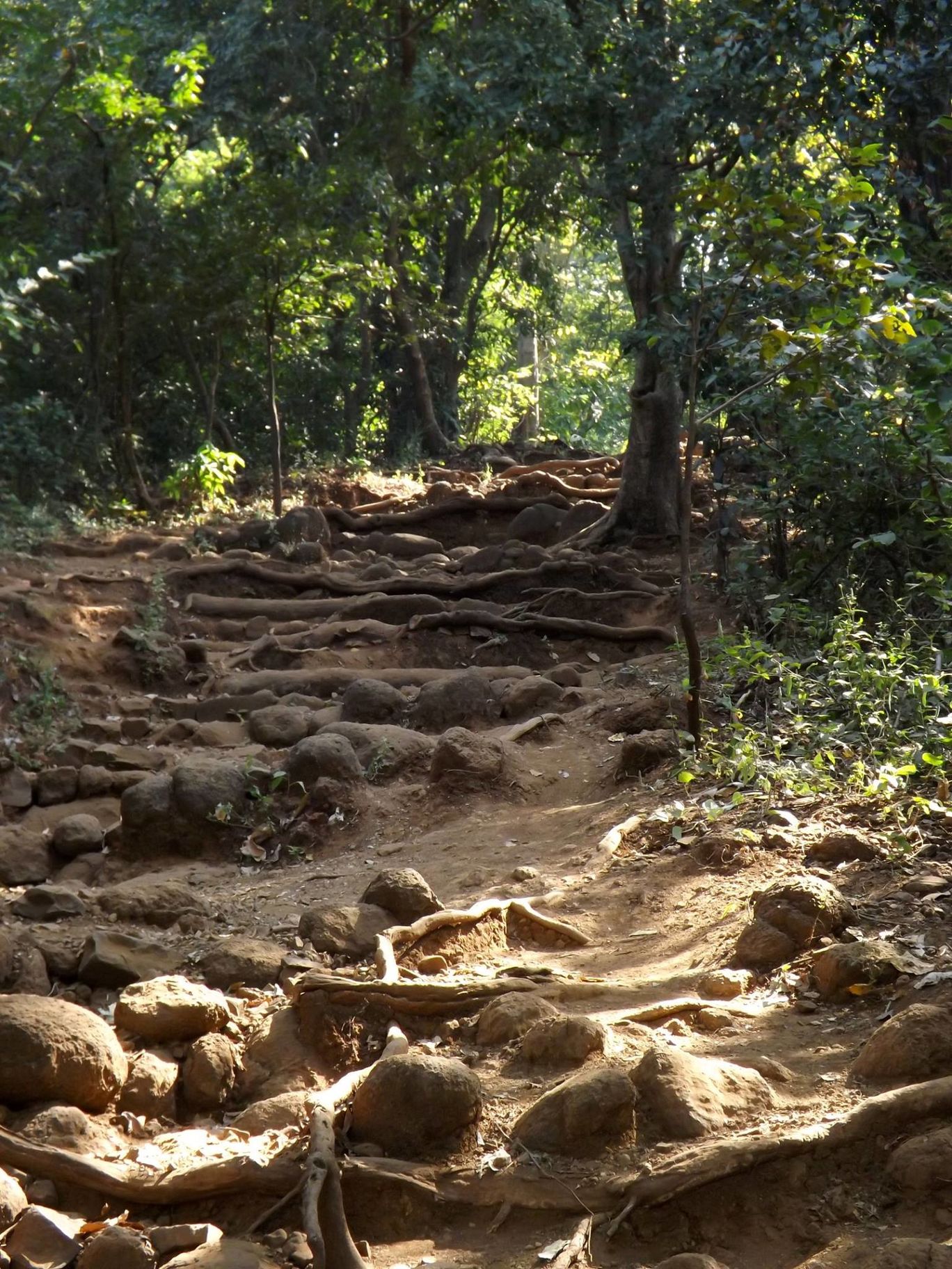 Photo of Karnala Fort Trek By Kaushik Chakraborty