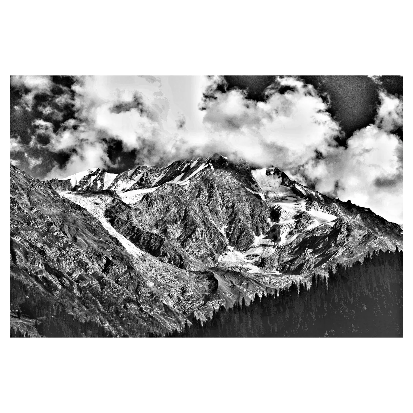 Photo of Tosh By ADITYA RAVI