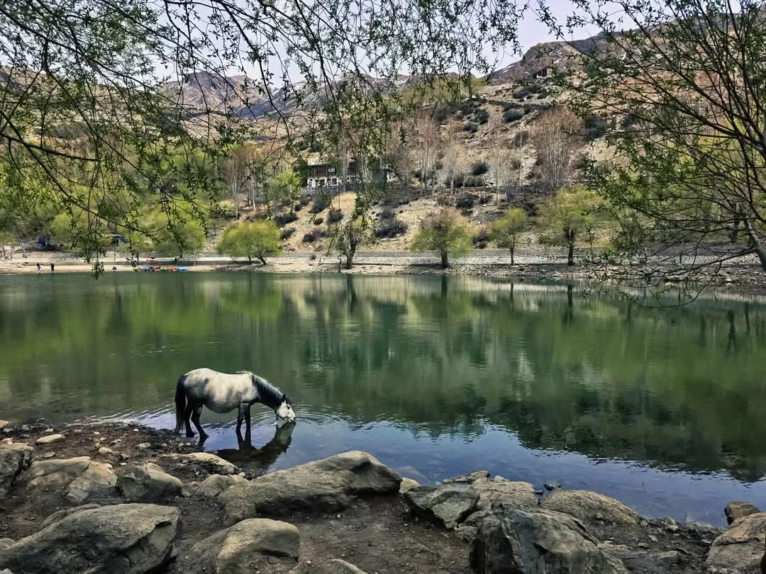 Photo of Nako By Partha Ghosh
