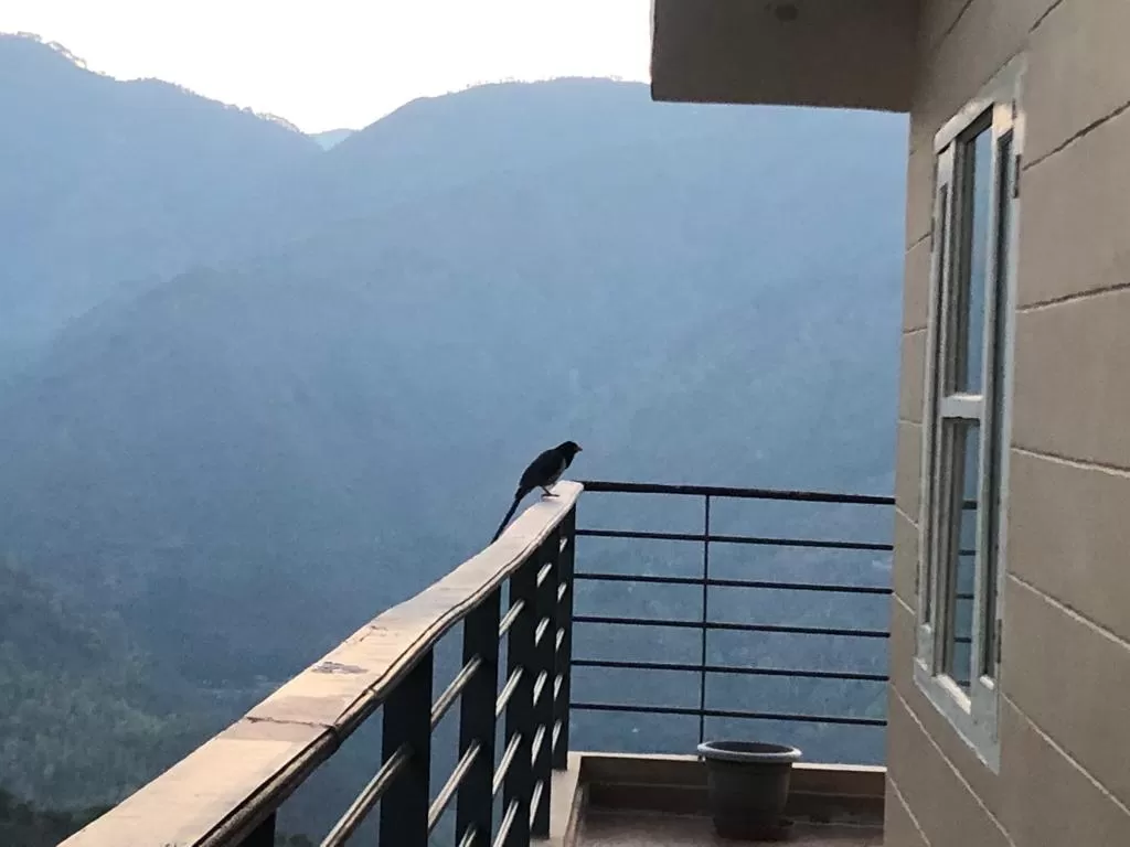 Photo of Blue Mountain cottage Nainital By Anju Rawat