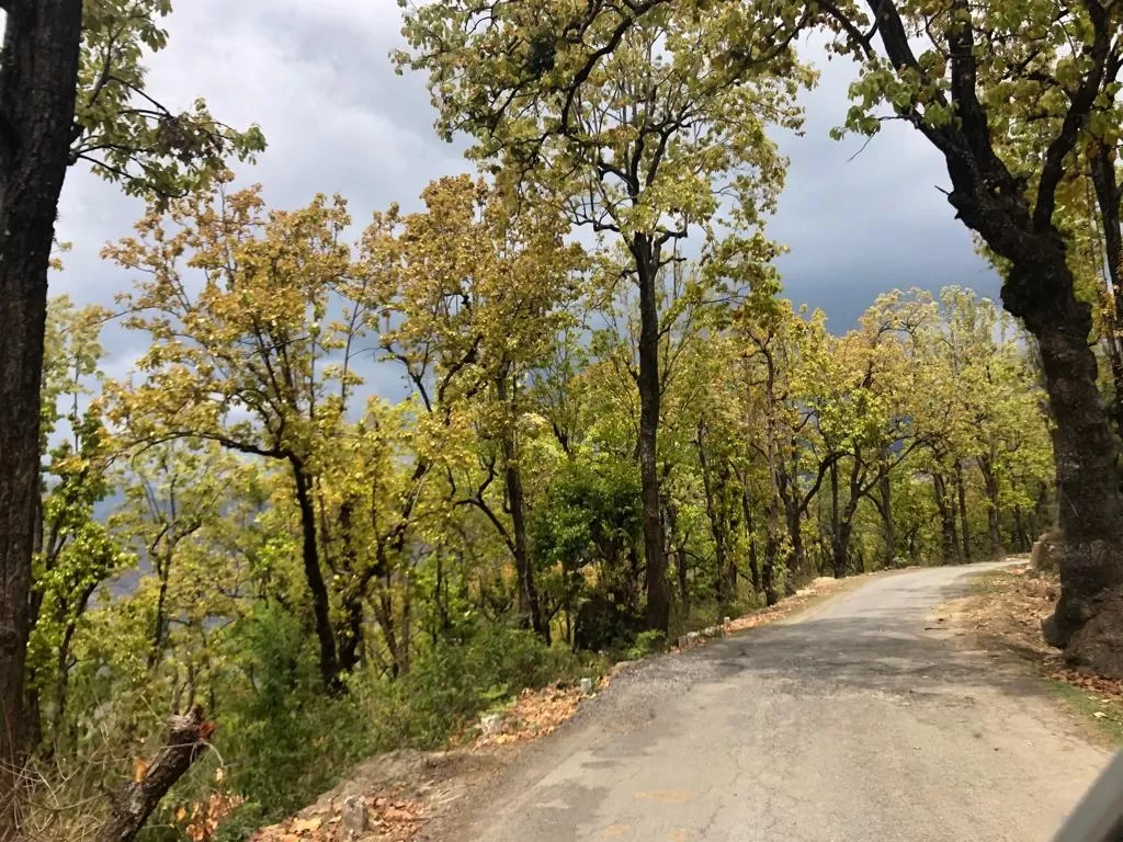Photo of Blue Mountain cottage Nainital By Anju Rawat