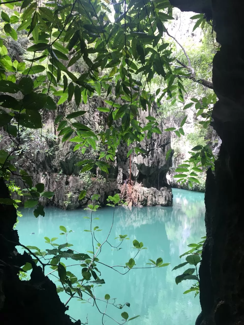 Photo of Phuket By Mishika Jain