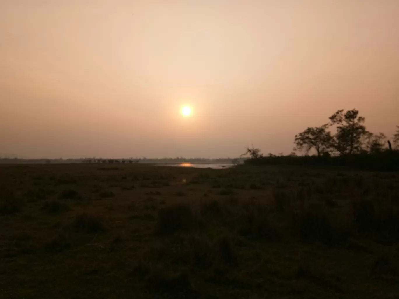 Photo of Kaziranga National Park By Wanderlust Ashok