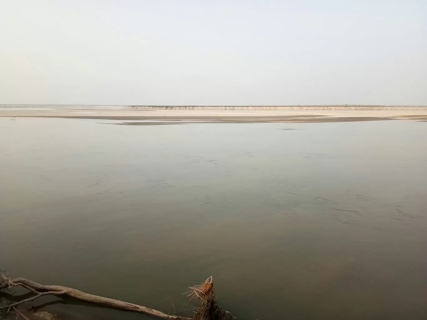 Photo of Kaziranga National Park By Wanderlust Ashok