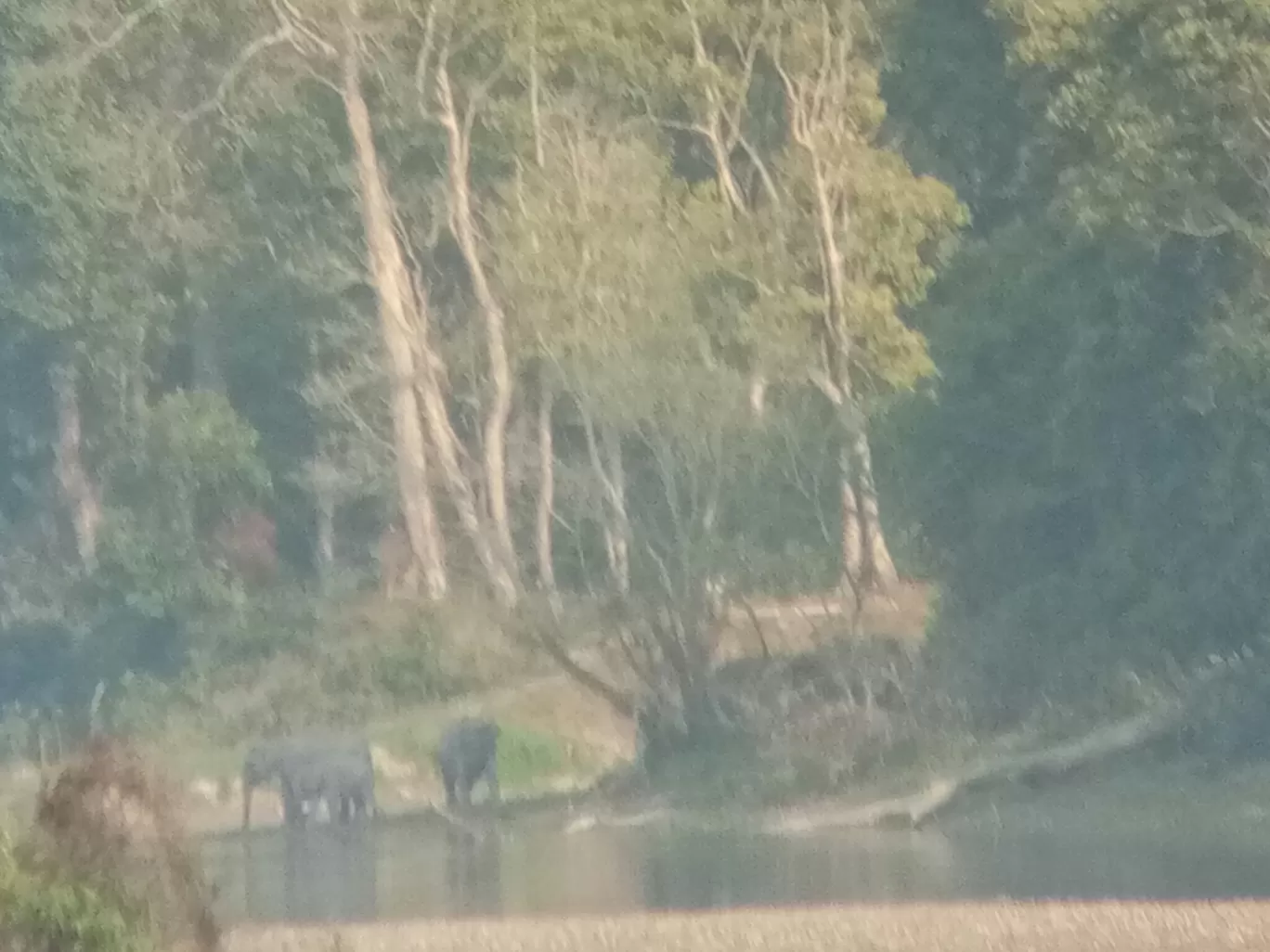 Photo of Kaziranga National Park By Wanderlust Ashok