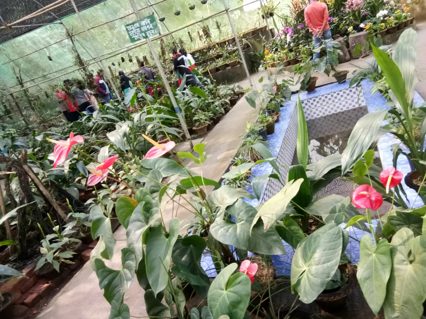 Photo of Kaziranga Orchid Nursery By Wanderlust Ashok