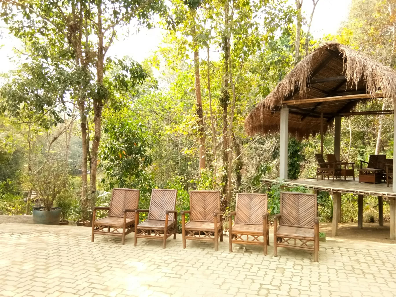 Photo of Kaziranga Orchid Nursery By Wanderlust Ashok