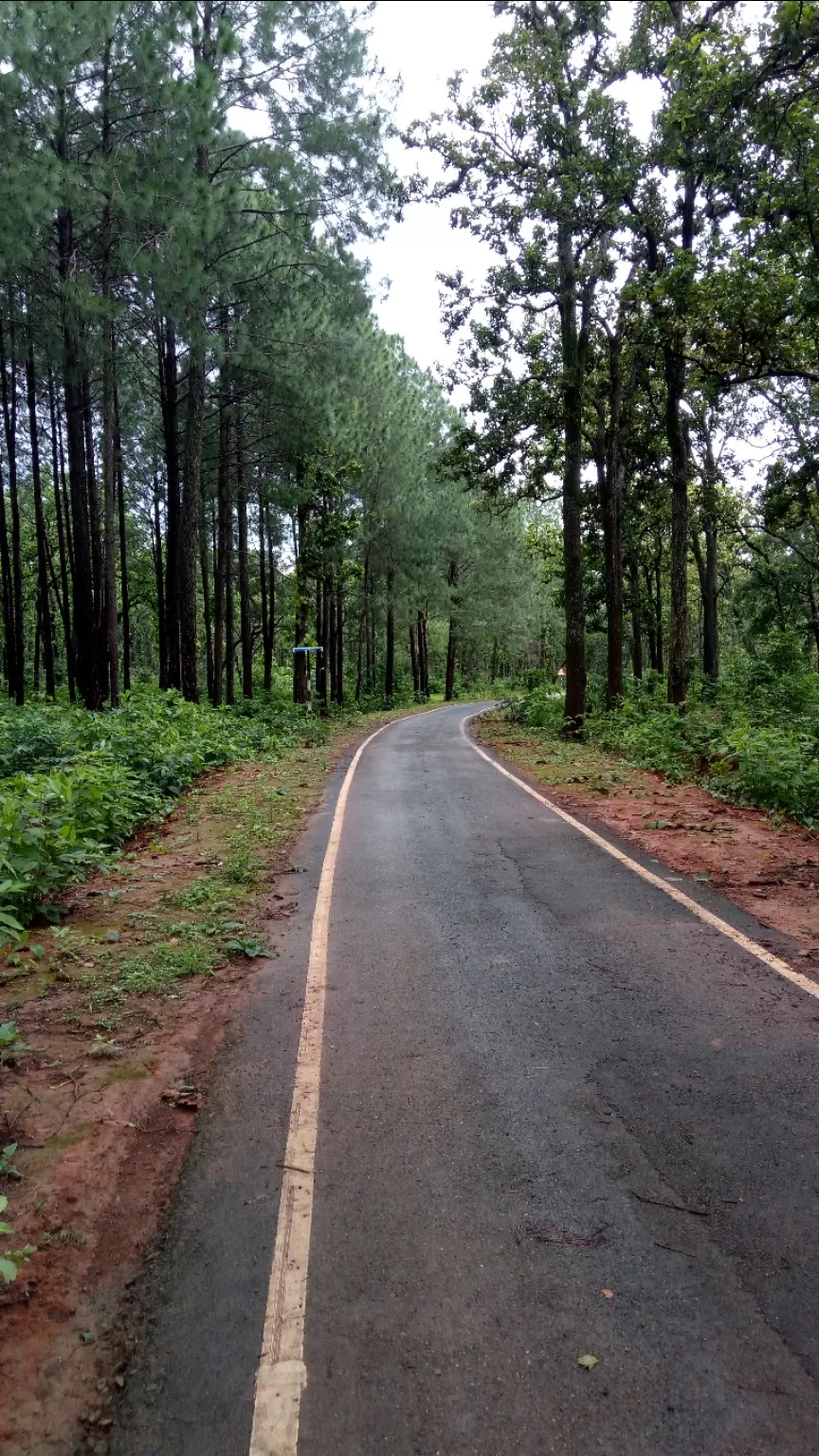 Photo of Netarhat By Wanderlust Ashok