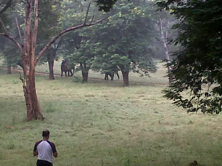 Photo of Betla National Park By Wanderlust Ashok