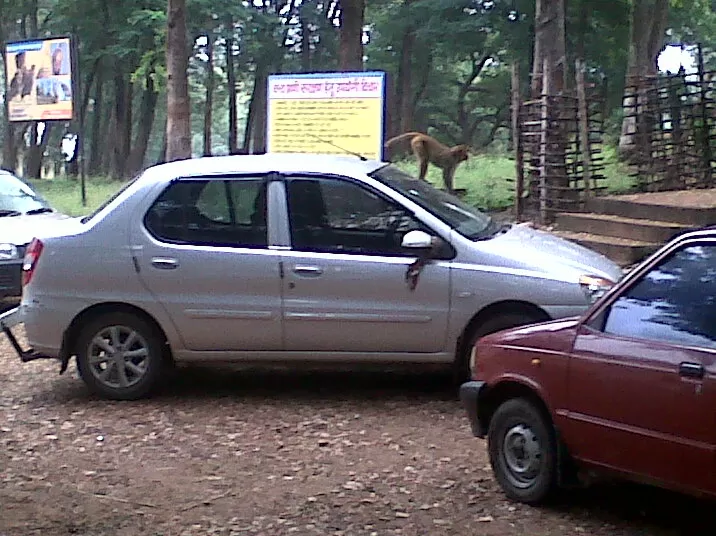 Photo of Betla National Park By Wanderlust Ashok