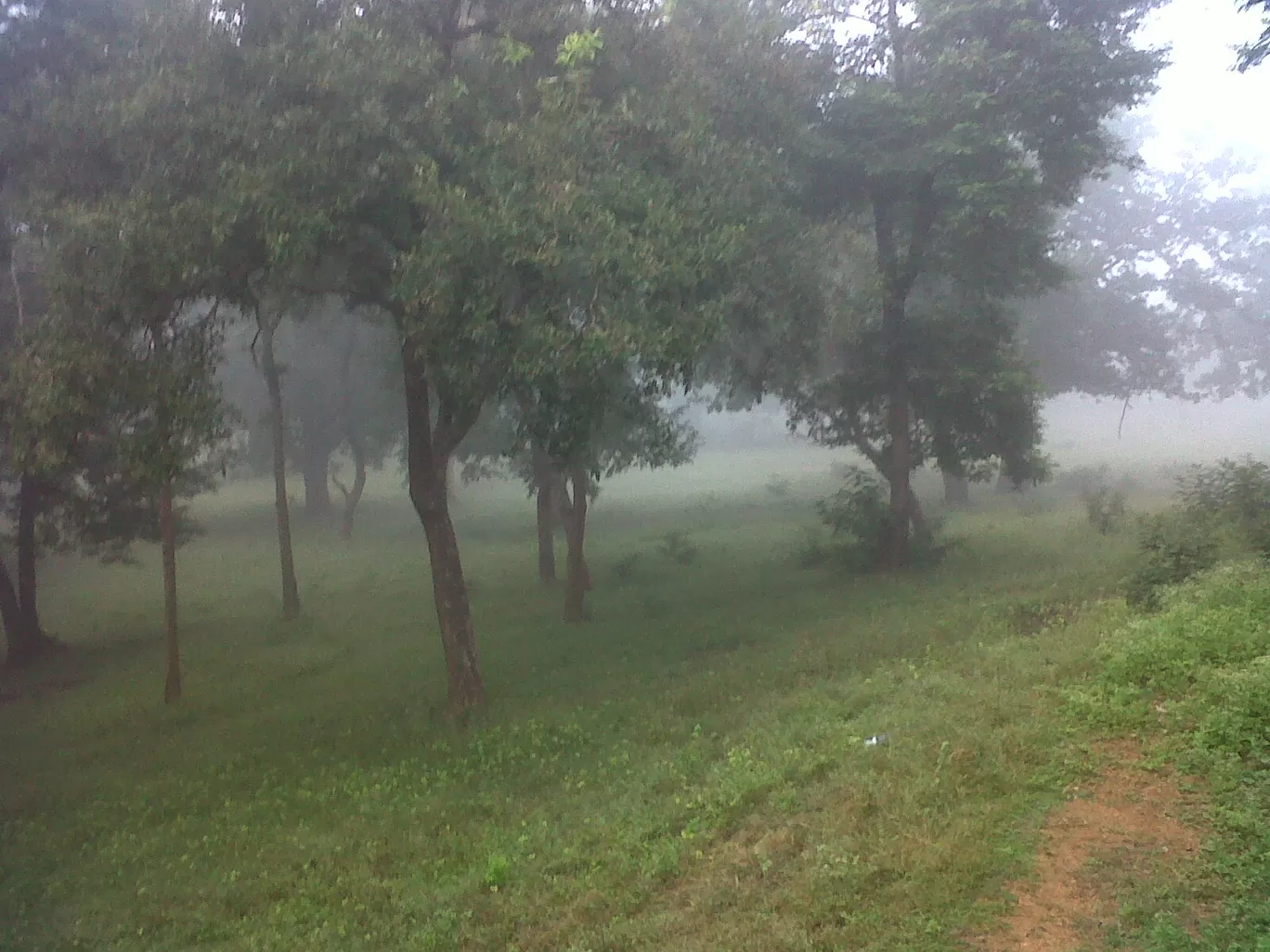 Photo of Betla National Park By Wanderlust Ashok