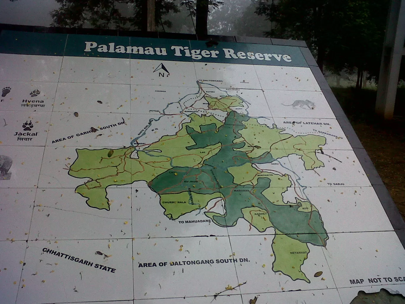 Photo of Betla National Park By Wanderlust Ashok