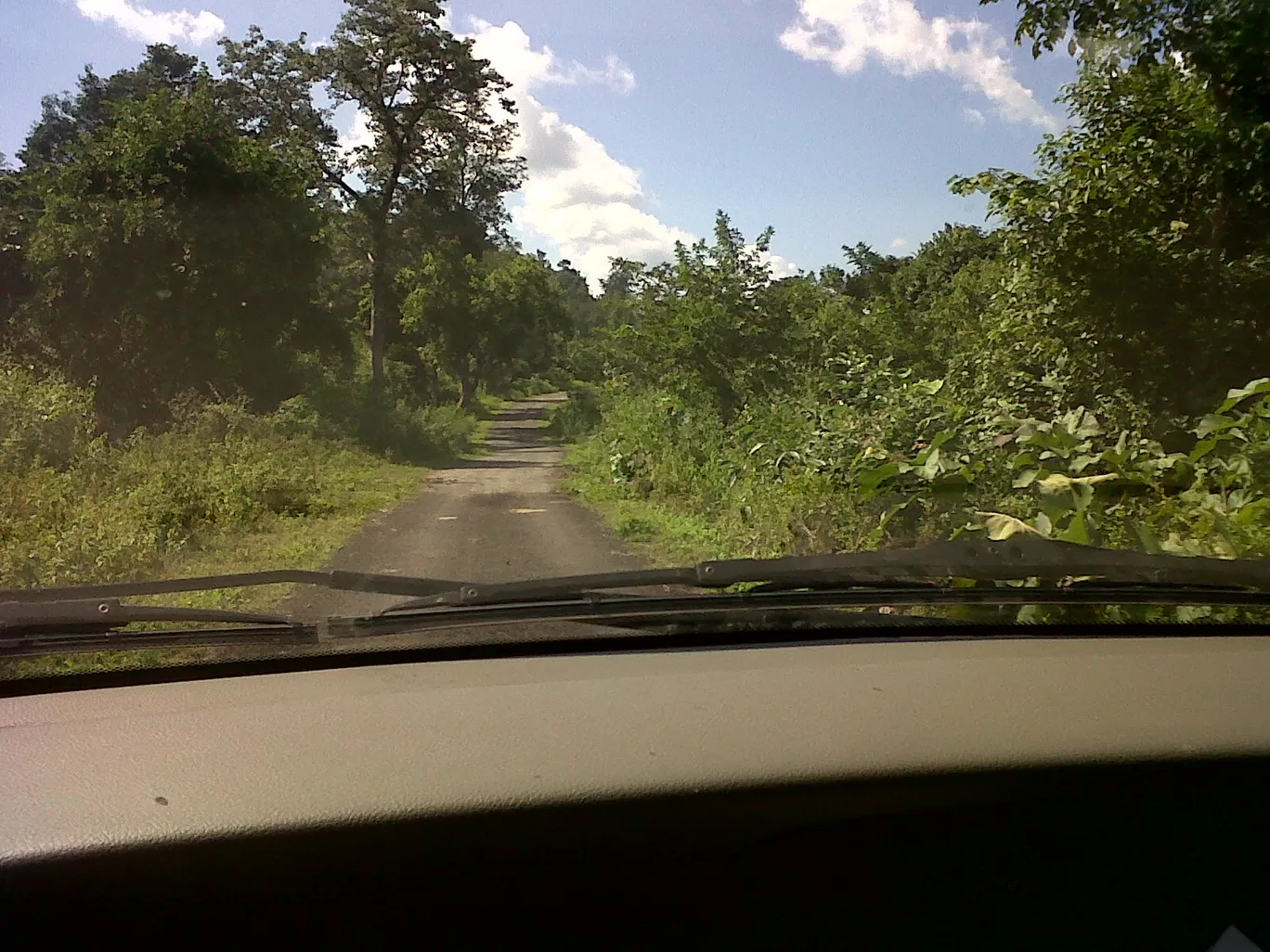 Photo of Betla National Park By Wanderlust Ashok