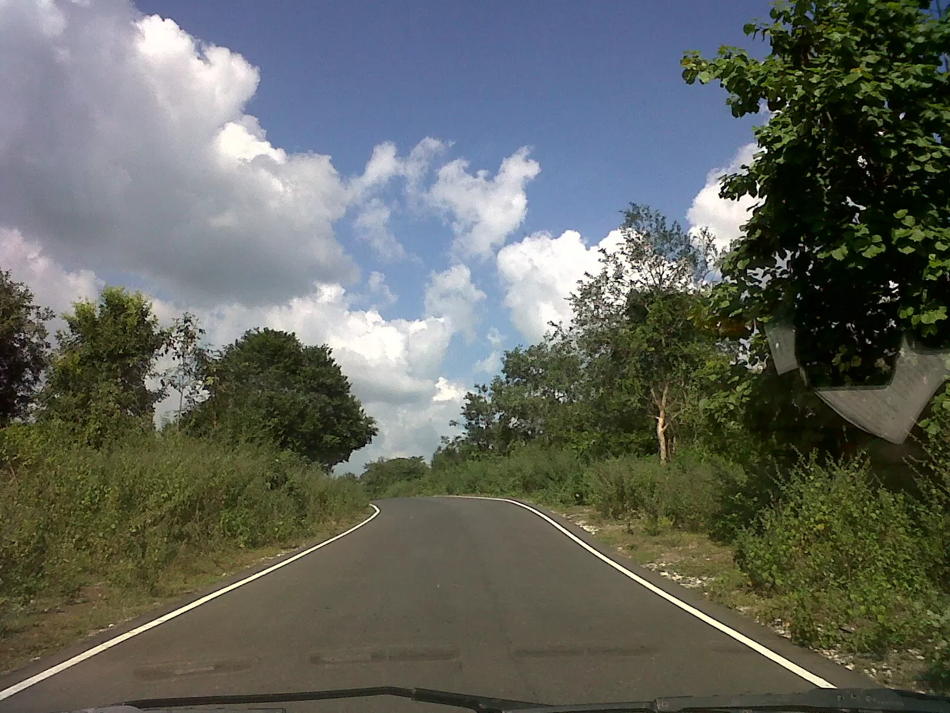 Photo of Betla National Park By Wanderlust Ashok
