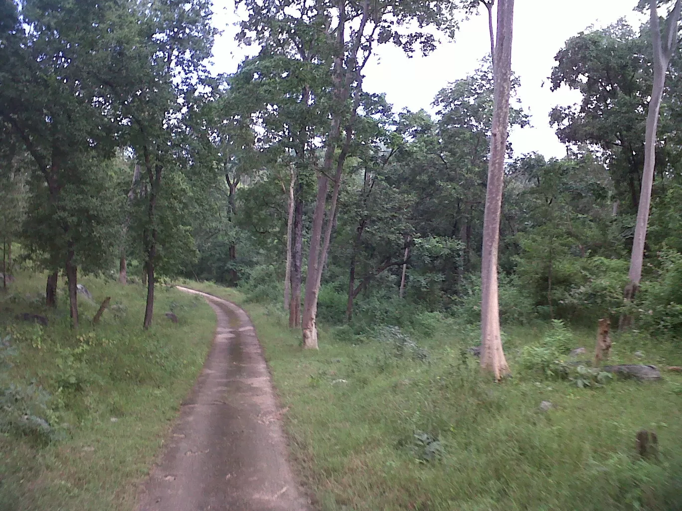 Photo of Betla National Park By Wanderlust Ashok