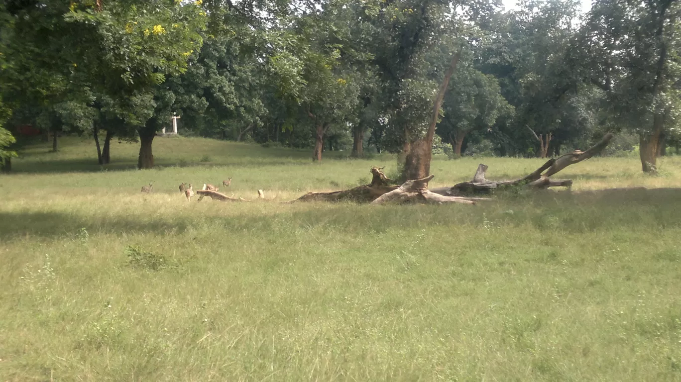 Photo of Betla National Park By Wanderlust Ashok