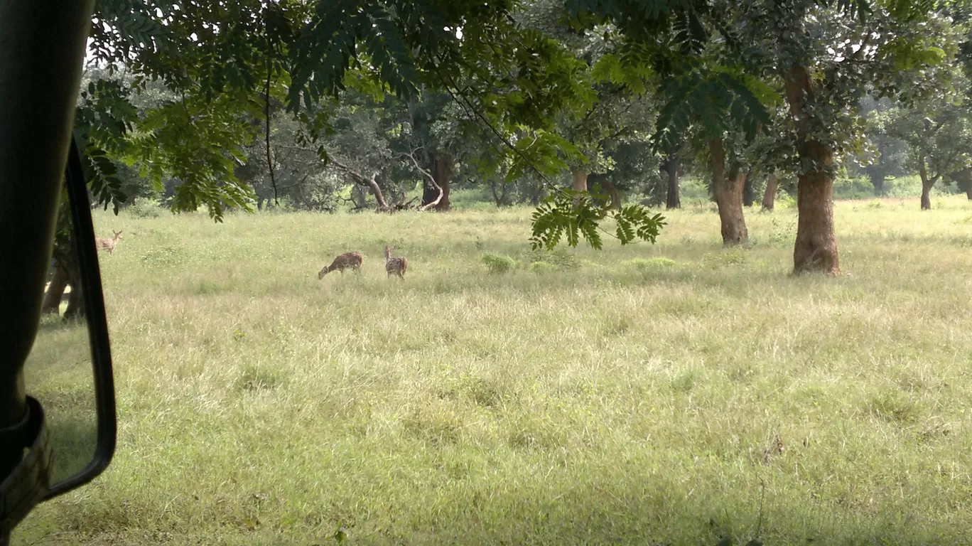 Photo of Betla National Park By Wanderlust Ashok
