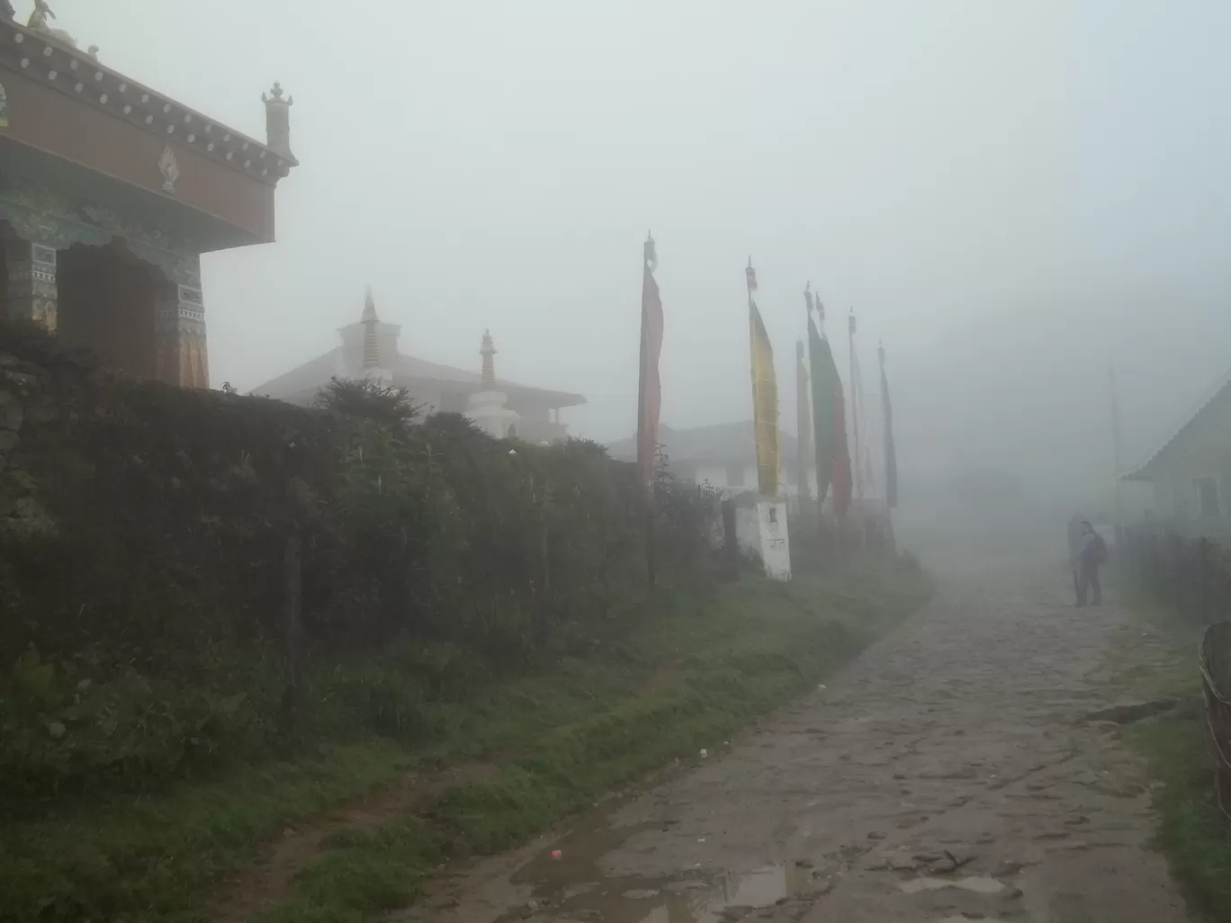 Photo of Sandakphu By Wanderlust Ashok