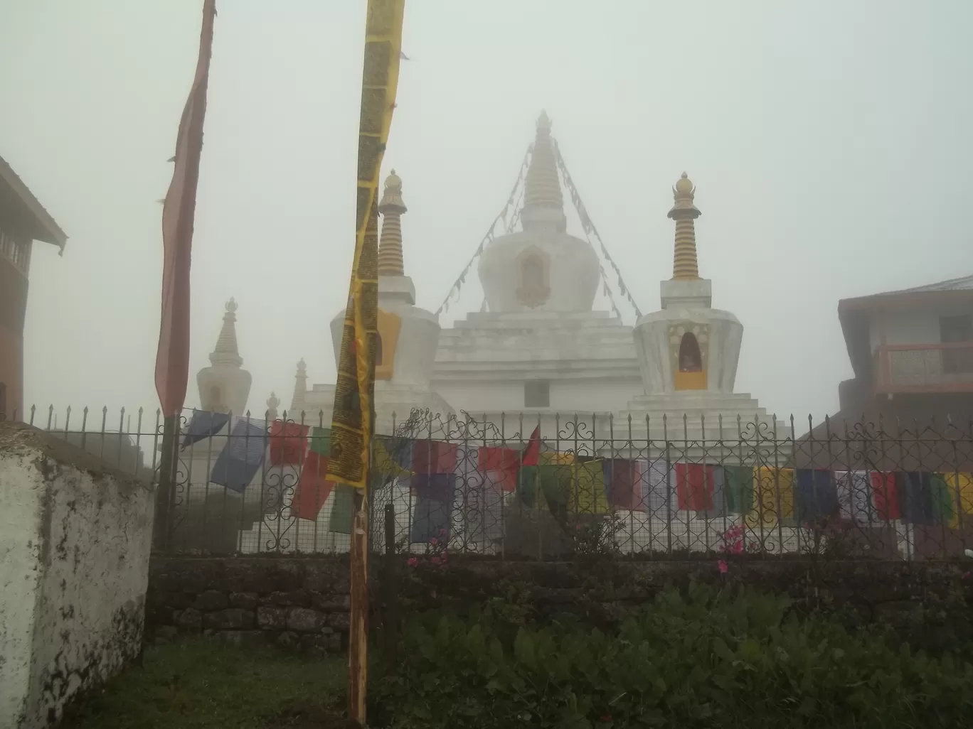 Photo of Sandakphu By Wanderlust Ashok