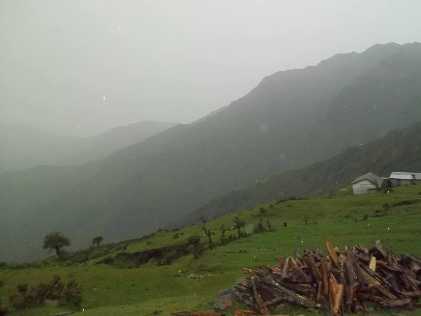 Photo of Sandakphu By Wanderlust Ashok