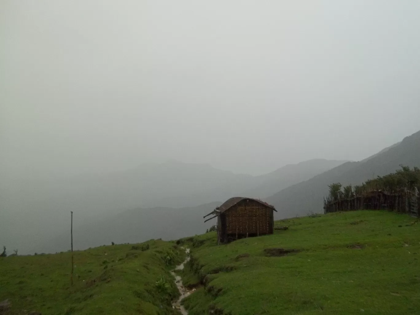 Photo of Sandakphu By Wanderlust Ashok