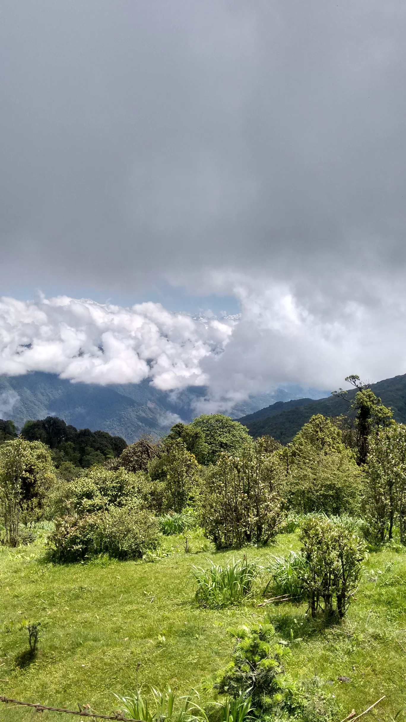 Photo of Sandakphu By Wanderlust Ashok