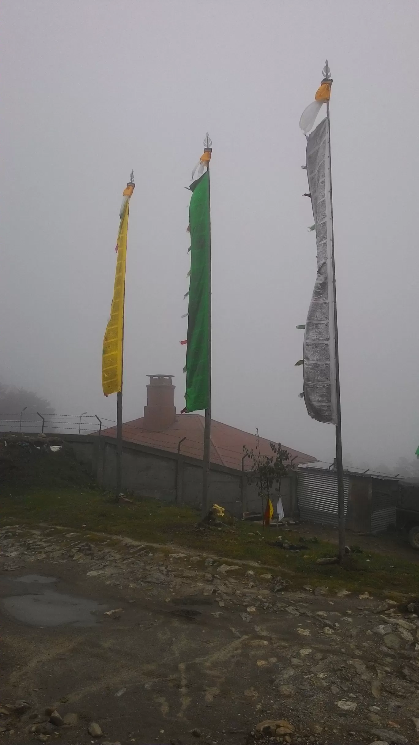 Photo of Sandakphu By Wanderlust Ashok