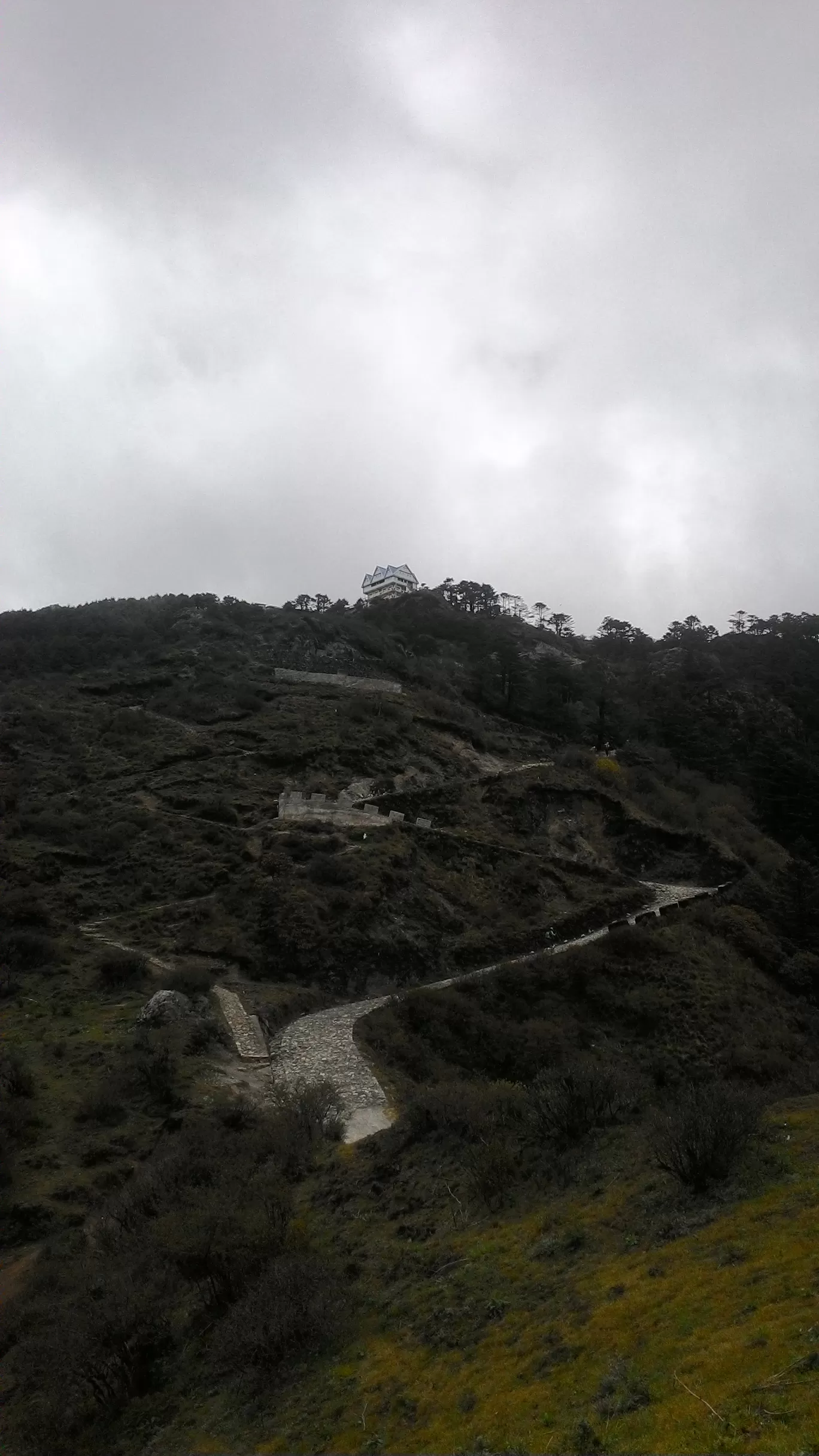 Photo of Sandakphu By Wanderlust Ashok