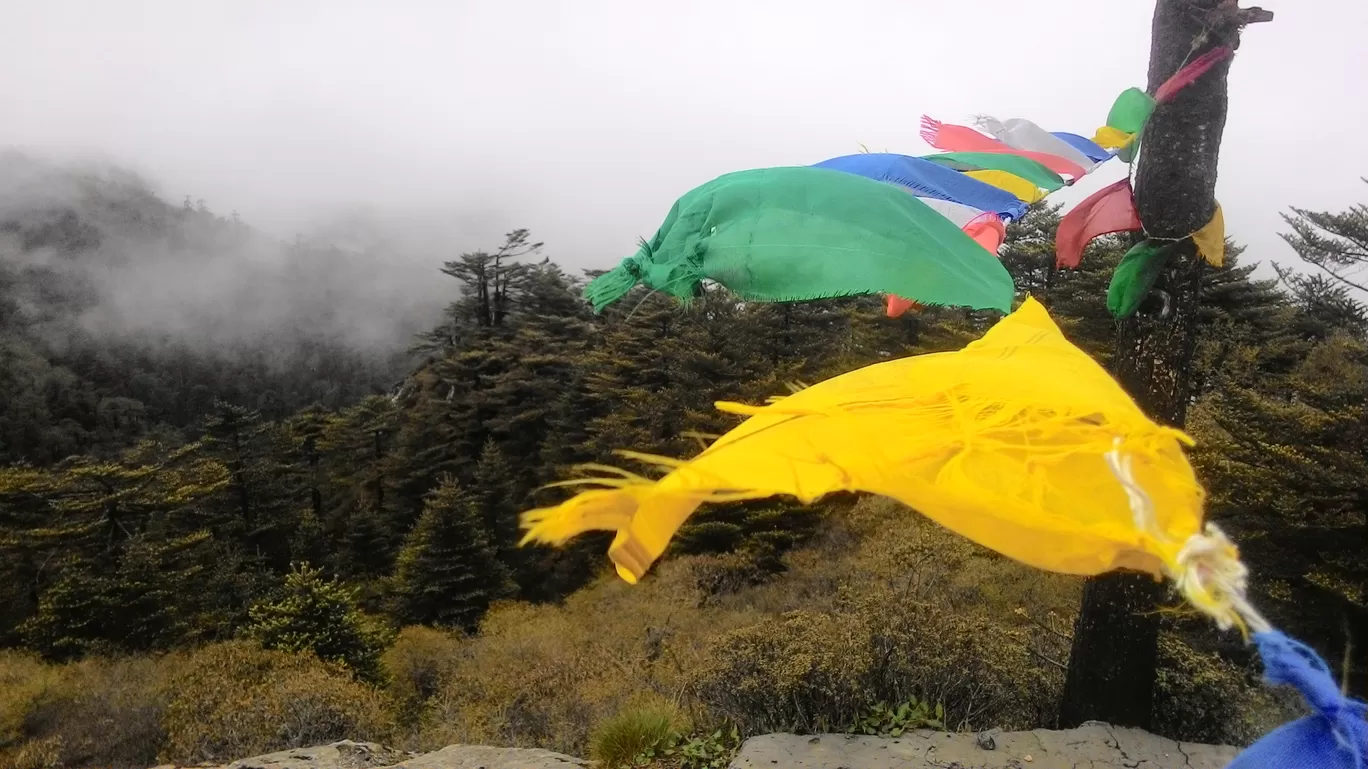 Photo of Sandakphu By Wanderlust Ashok