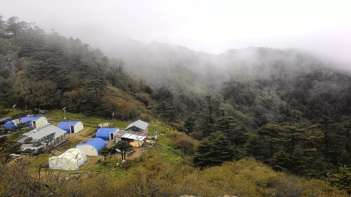 Photo of Sandakphu By Wanderlust Ashok