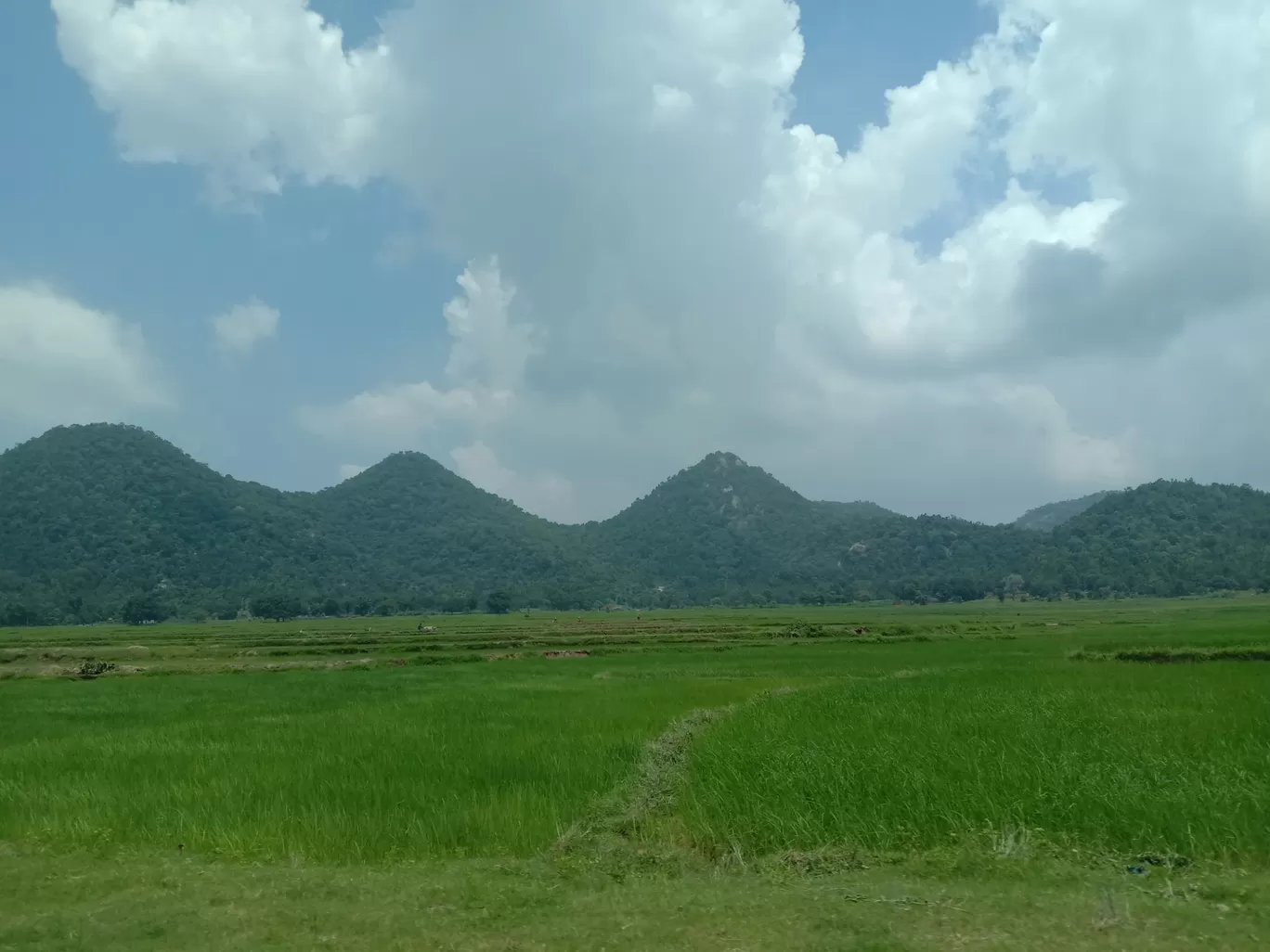Photo of Netarhat By Wanderlust Ashok